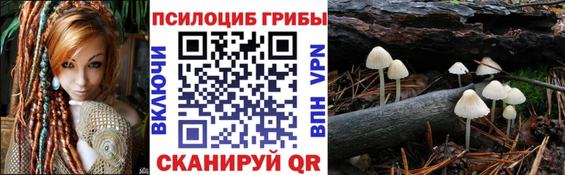 Псилоцибиновые грибы Cubensis  Новопавловск 